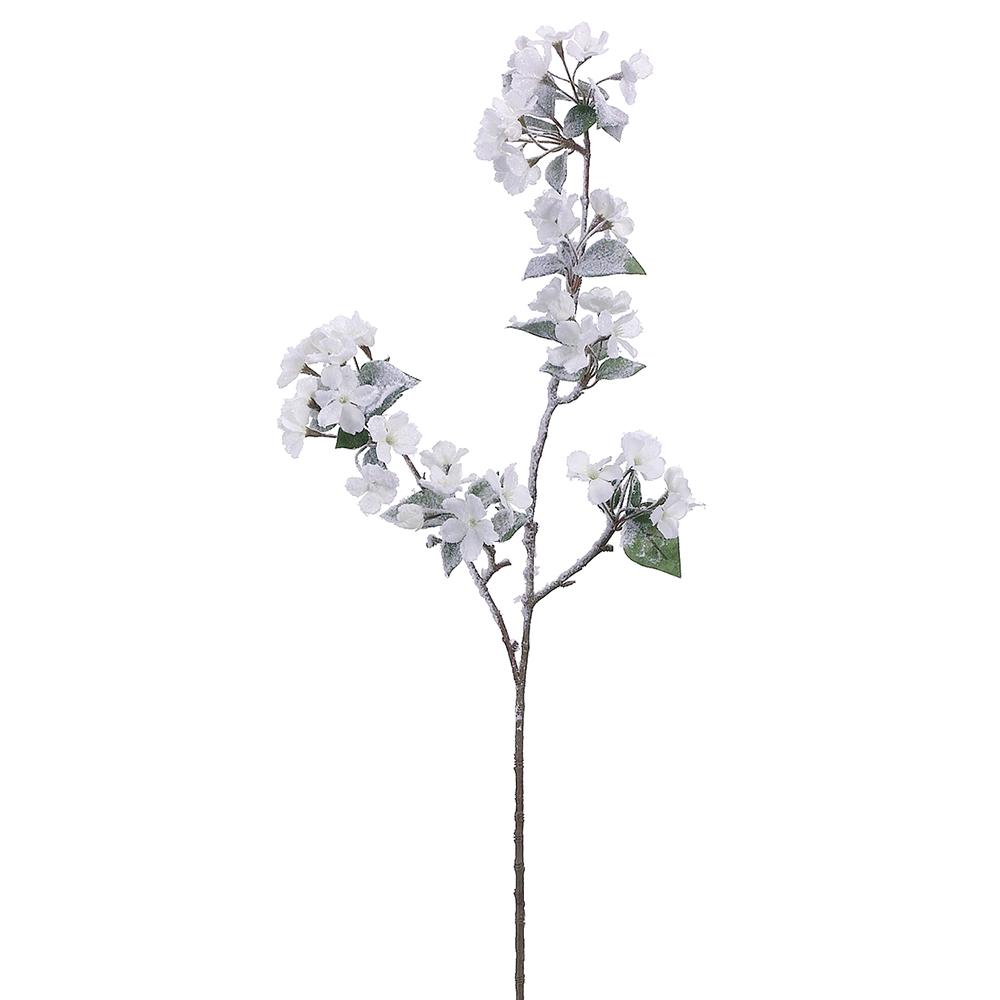 Snow Quince Blossom Spray