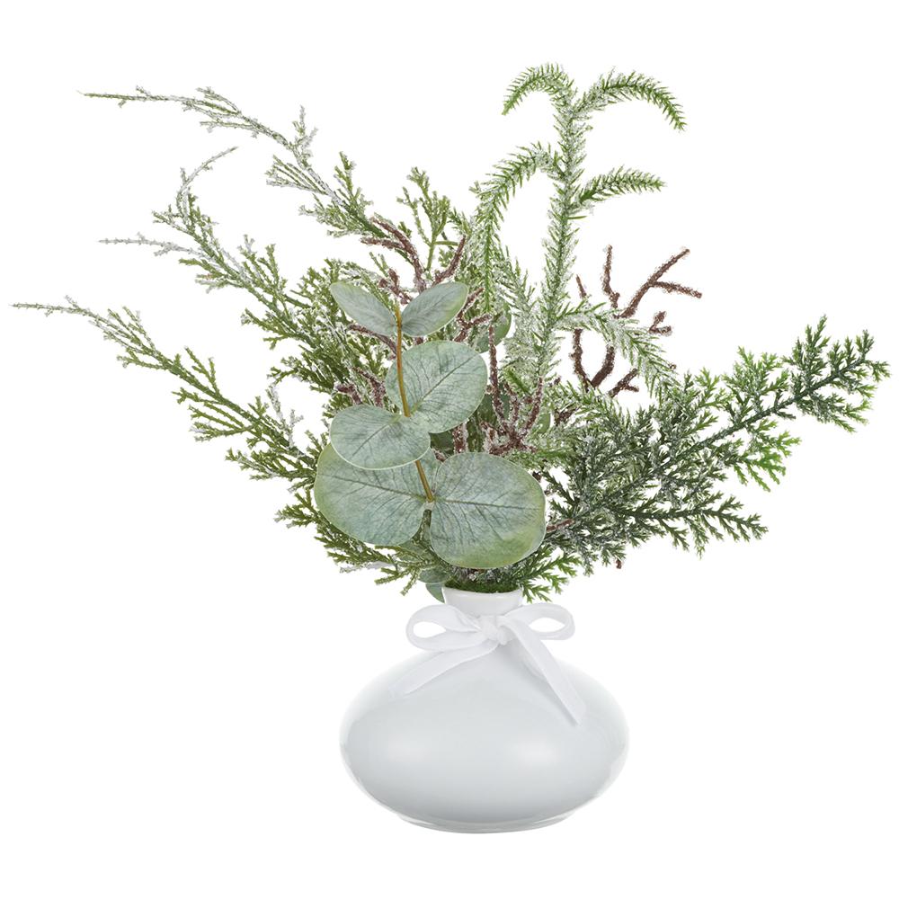 Winter Frost Eucalyptus In Vase