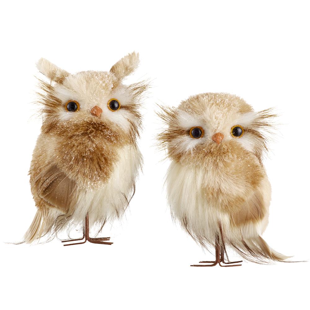 Snow Adorable Iced Owl Set