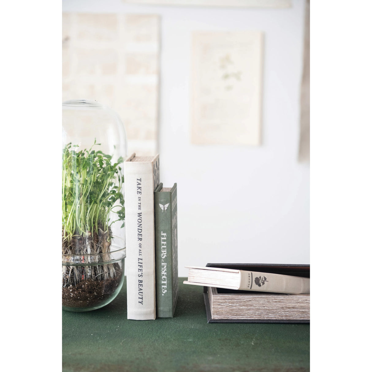 MDF and Canvas Book Storage Boxes, Set of 2