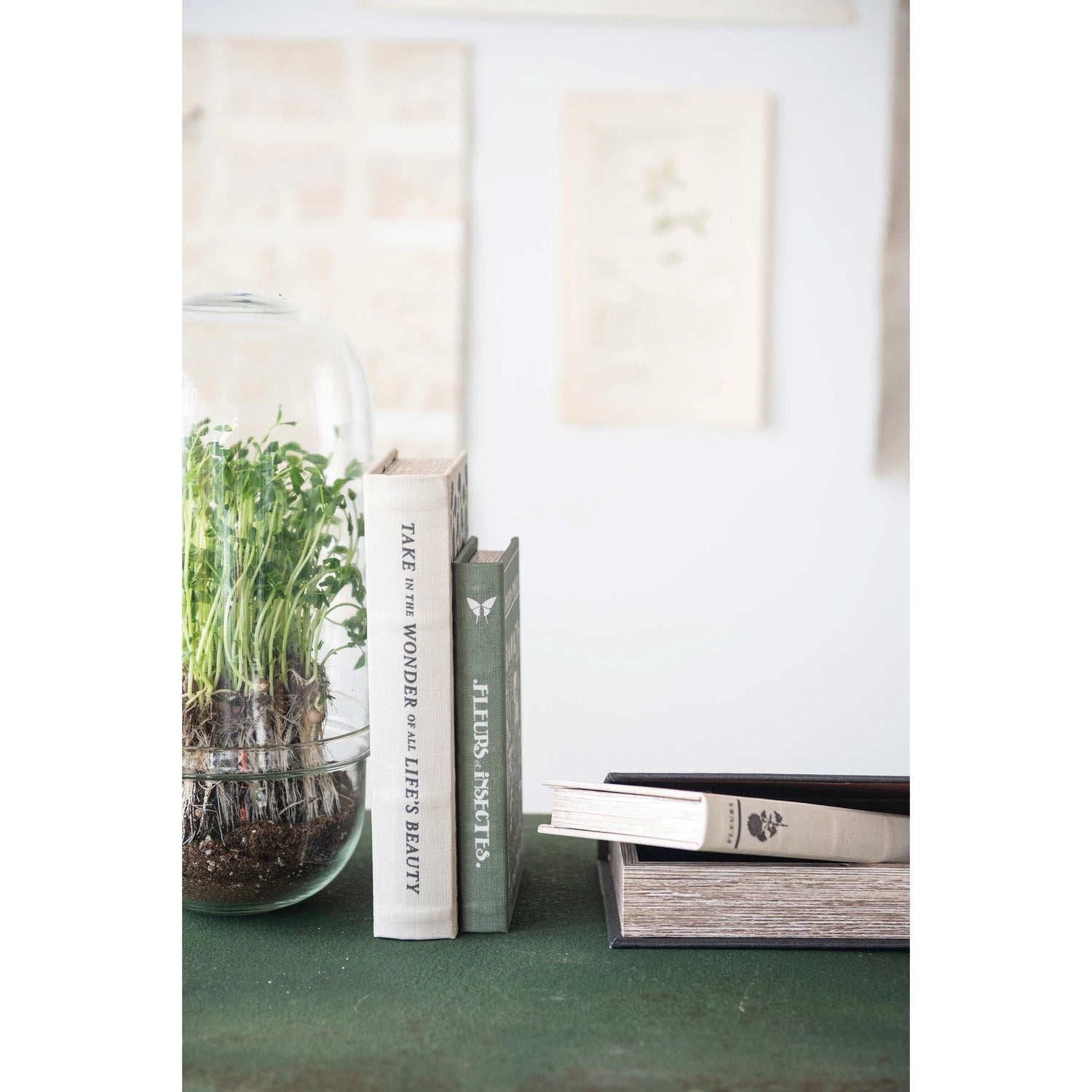 MDF and Canvas Book Storage Boxes, Set of 2