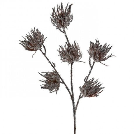Brown Iced Thistle Spray