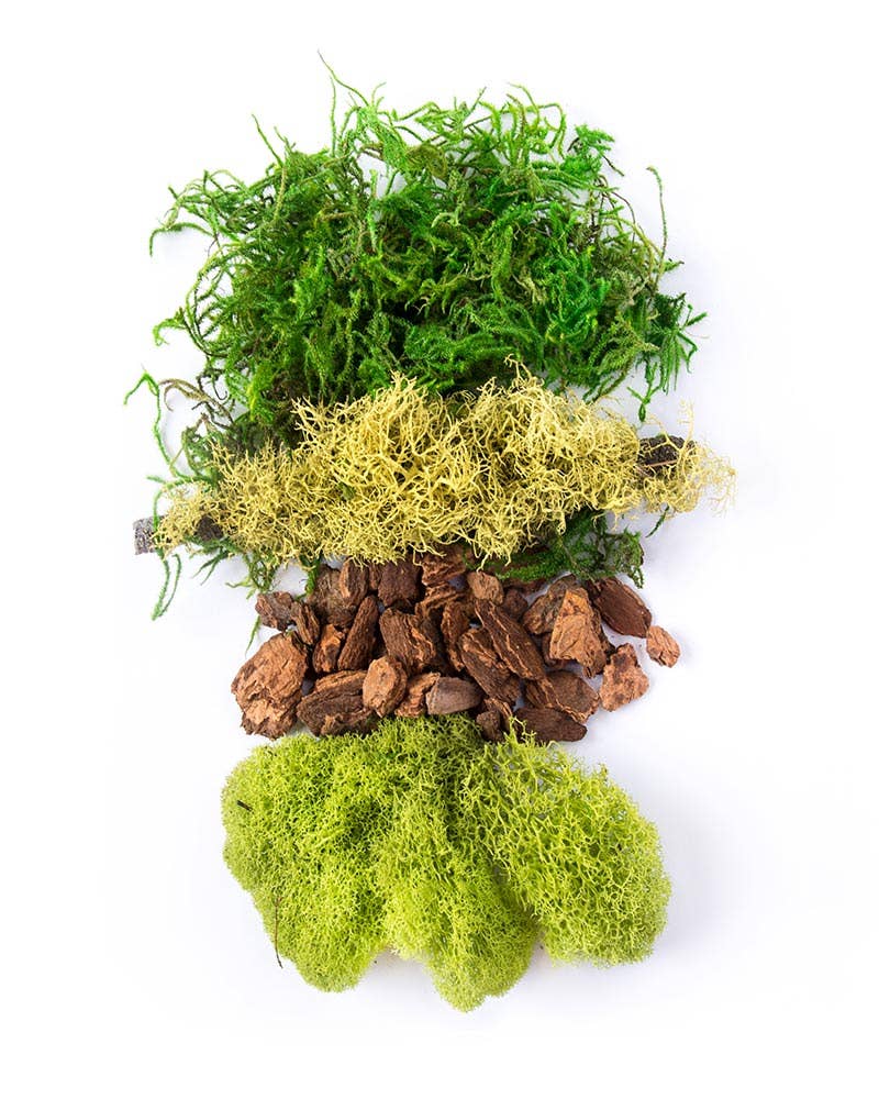 Fairy Garden Moss Kit