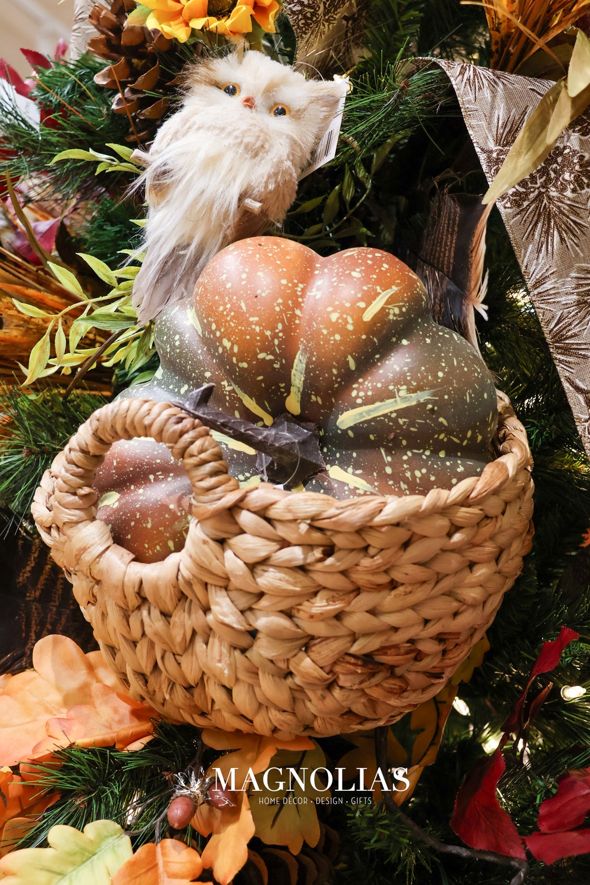 Large Picked Fall Pumpkin