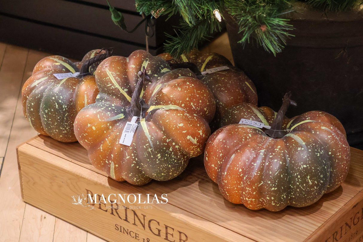 Large Picked Fall Pumpkin