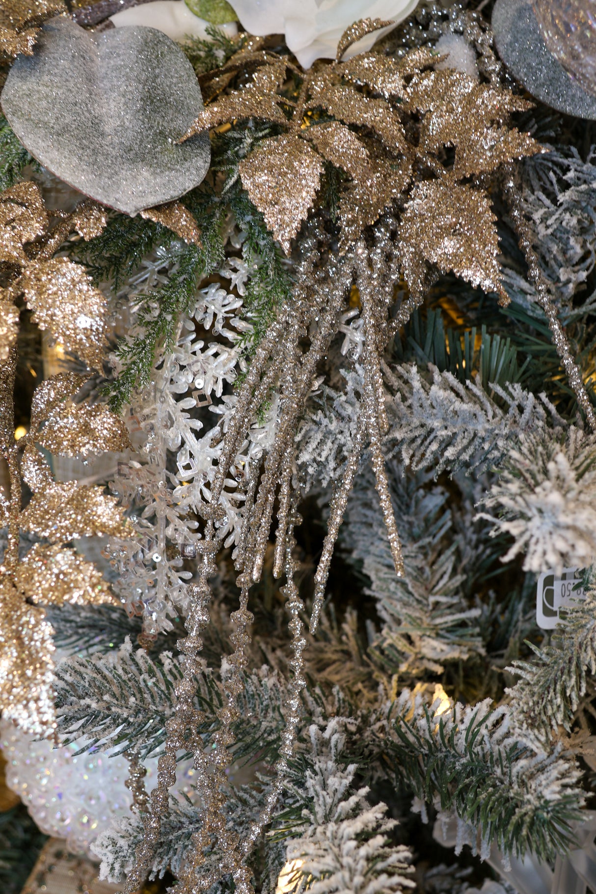 Platinum Senecio Hanging Vine