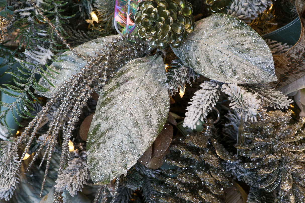 Platinum Senecio Hanging Vine