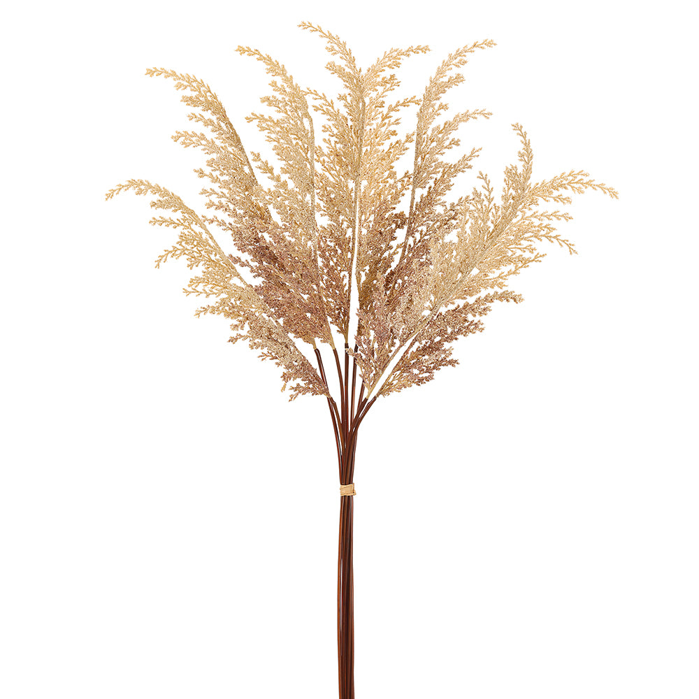 Pampas Grass Bundle