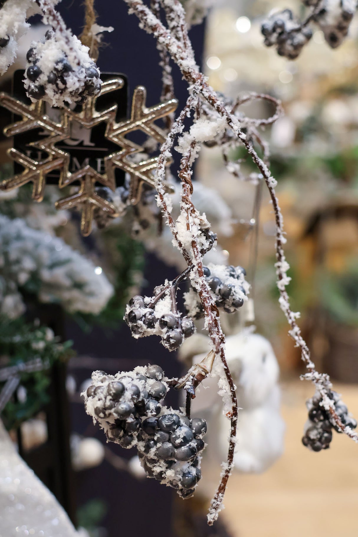 Snow Blue Berry Branch