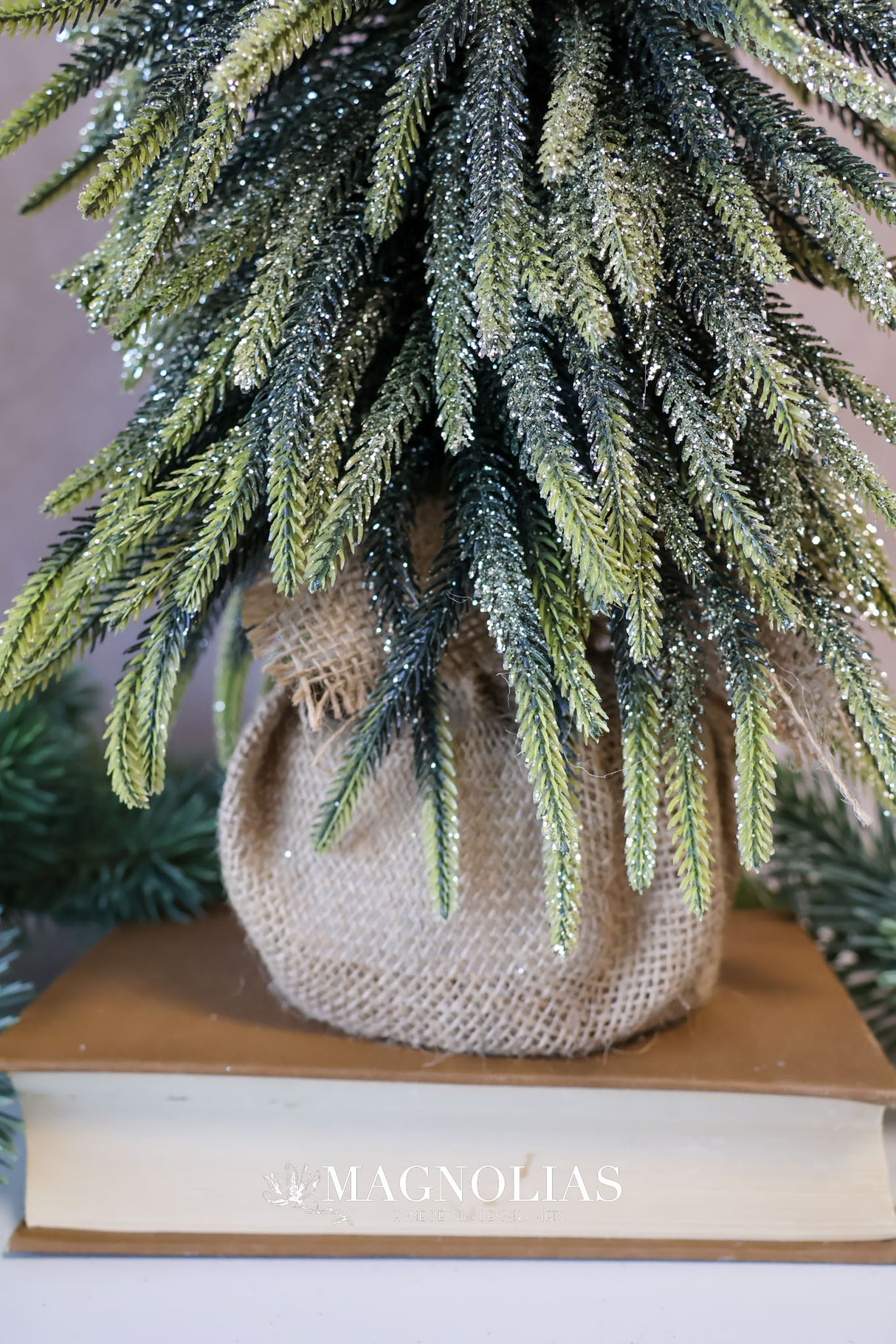 24" Golden Sparkle Spruce Tree