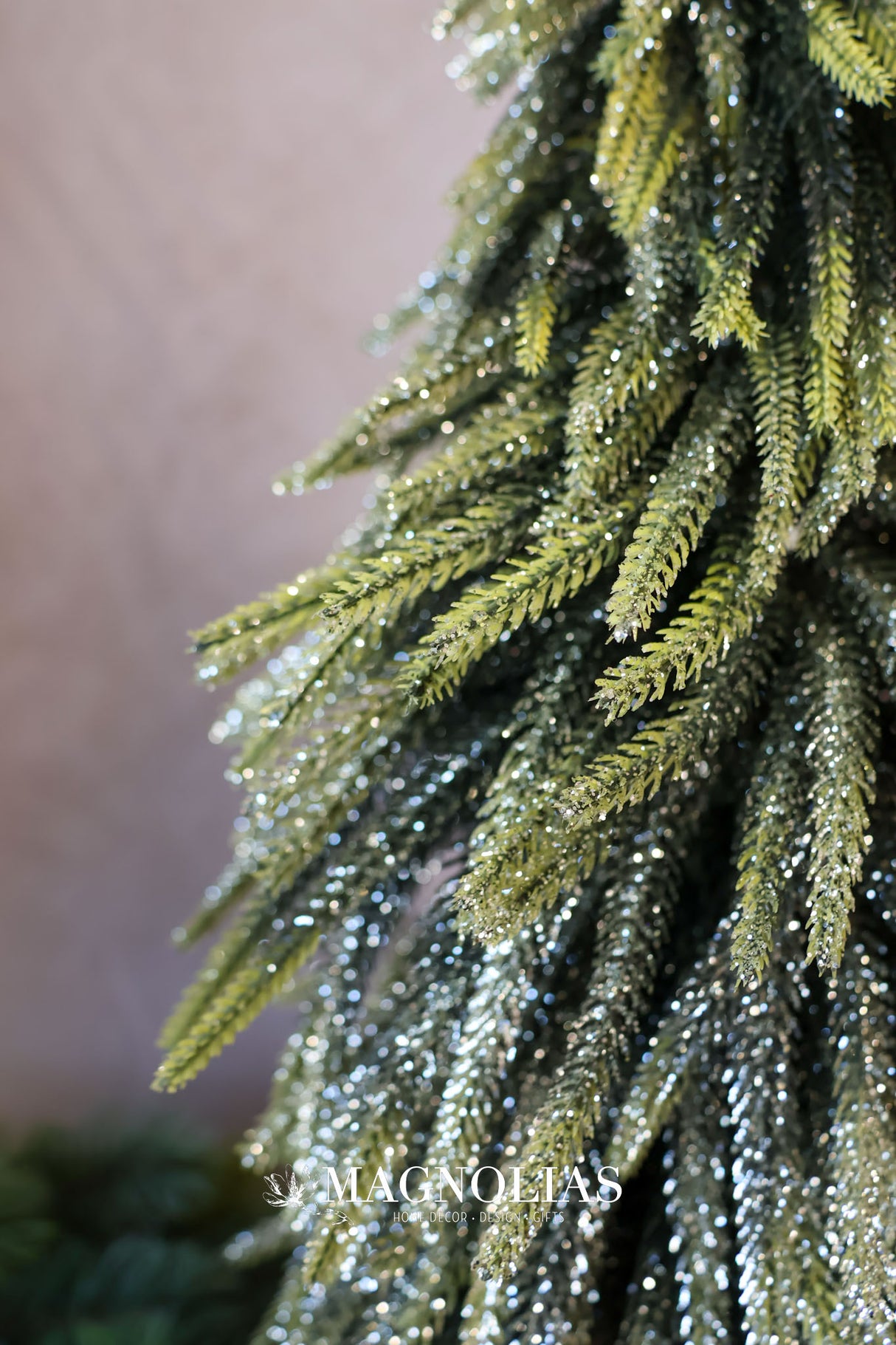 24" Golden Sparkle Spruce Tree