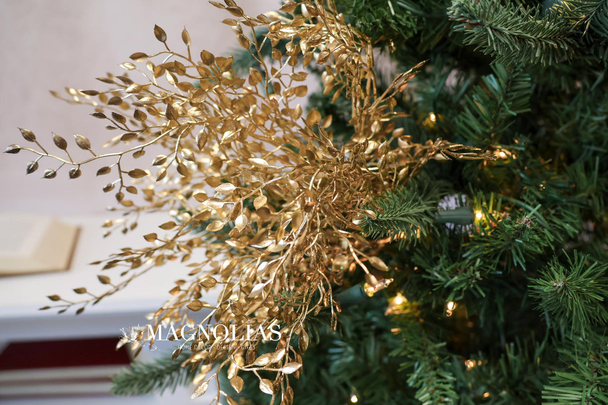 Gold Mini Boxwood Bush