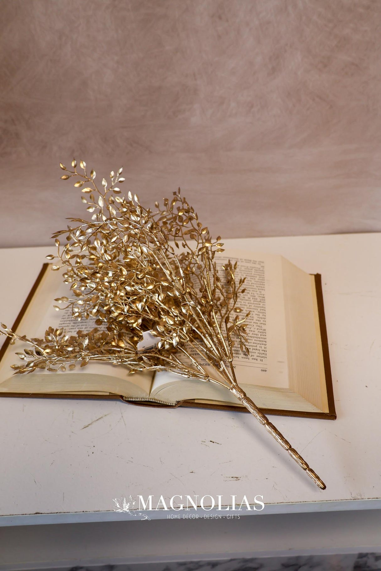 Gold Mini Boxwood Bush