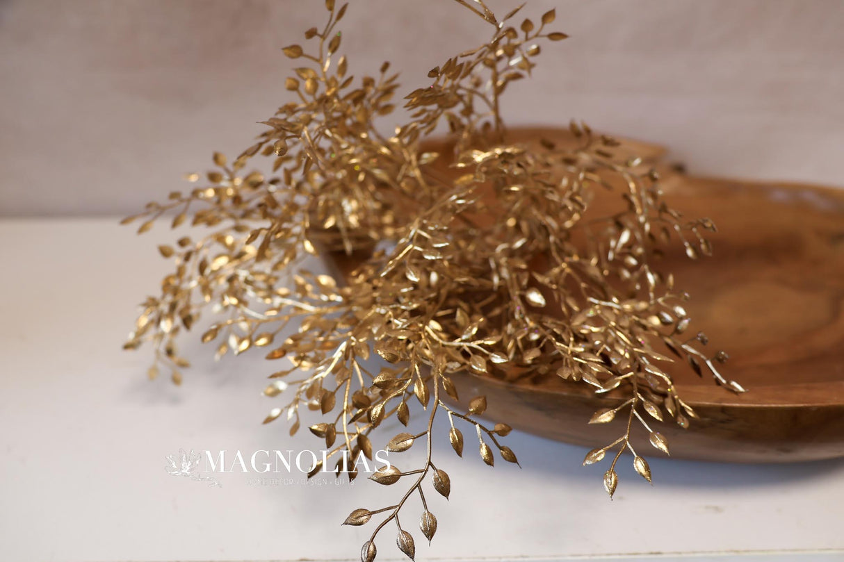 Gold Mini Boxwood Bush