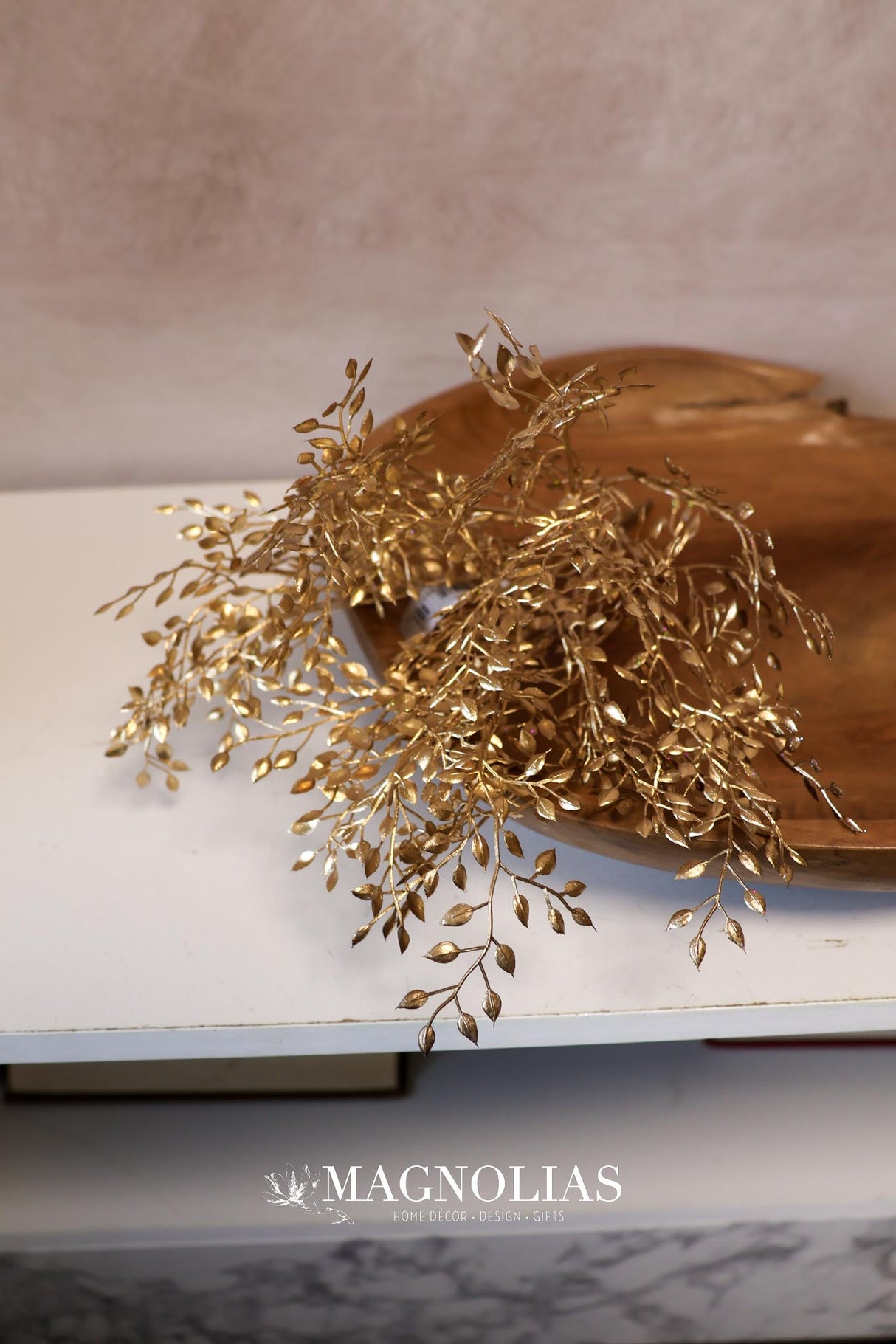 Gold Mini Boxwood Bush