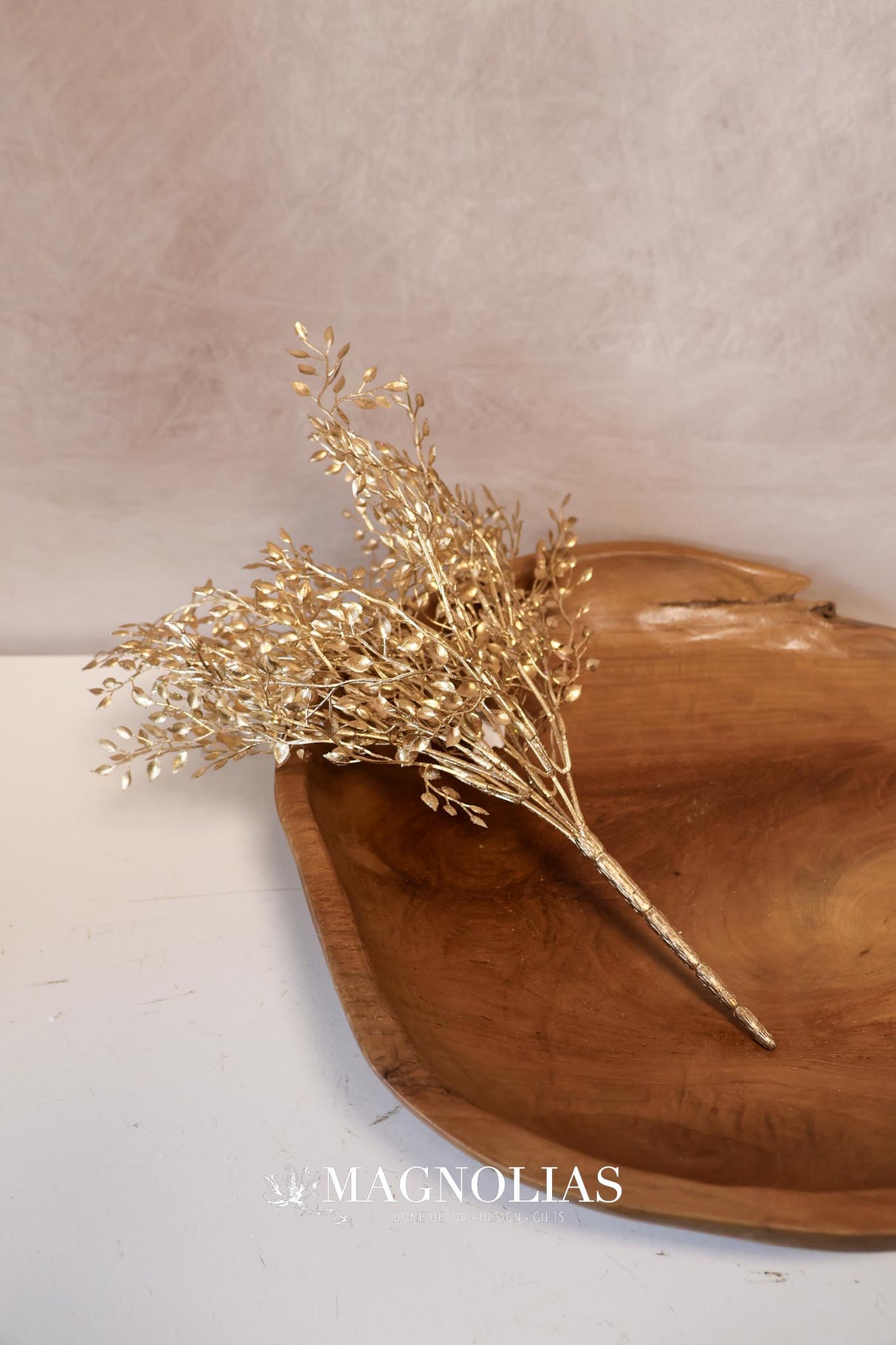 Gold Mini Boxwood Bush