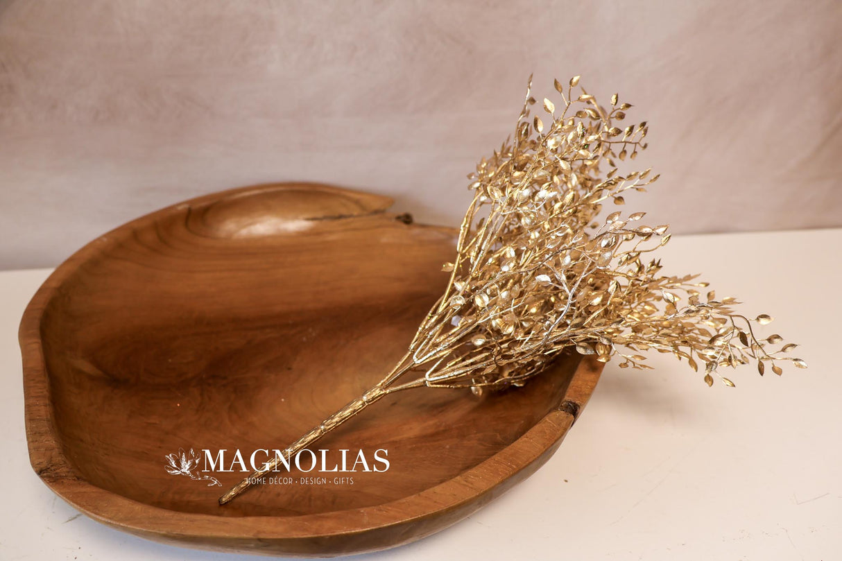 Gold Mini Boxwood Bush