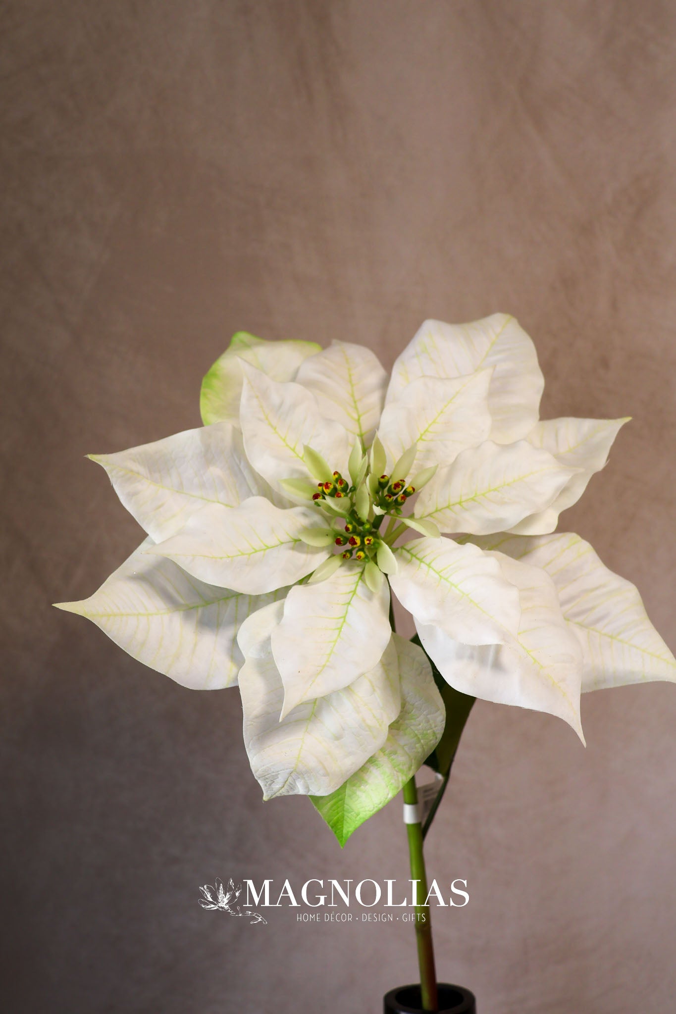 Winter White Poinsettia Spray