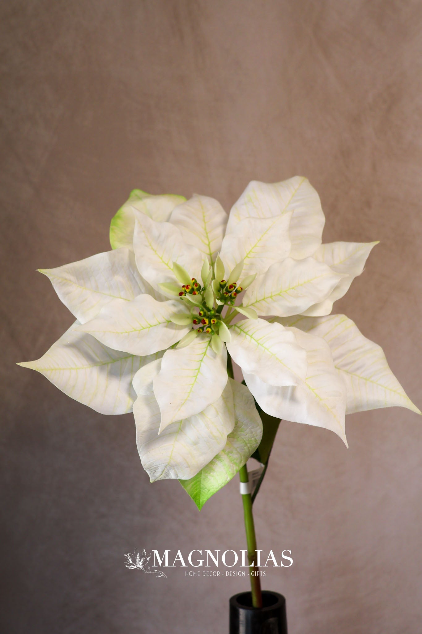 Winter White Poinsettia Spray
