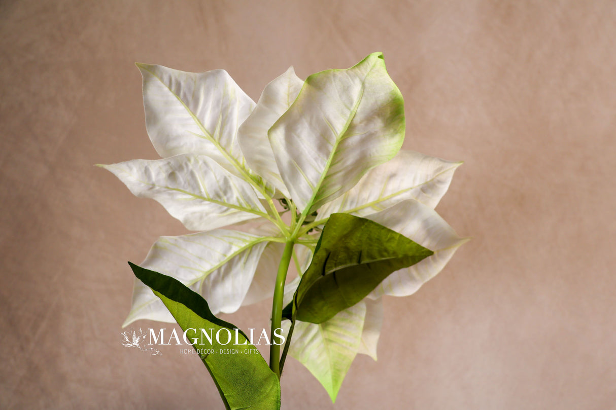 Winter White Poinsettia Spray