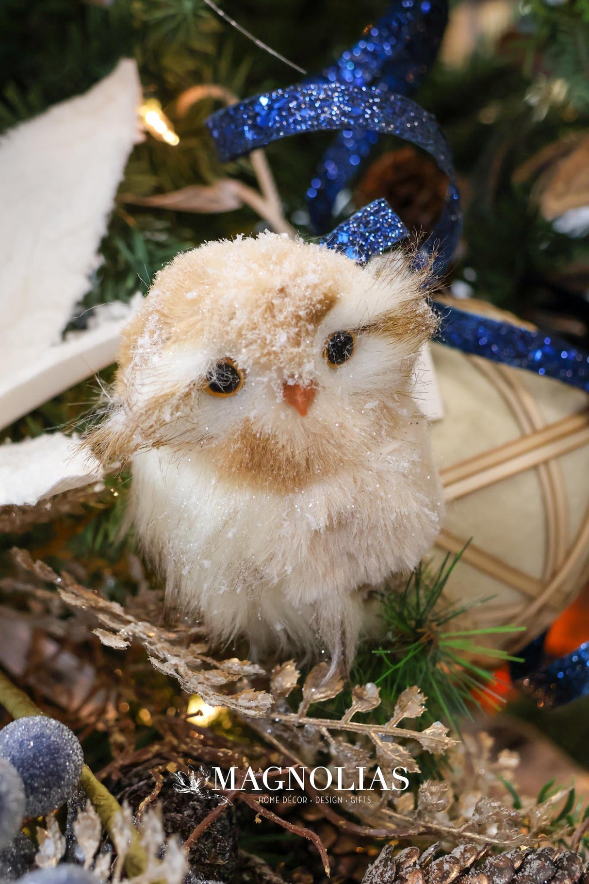 Snow Adorable Iced Owl Set