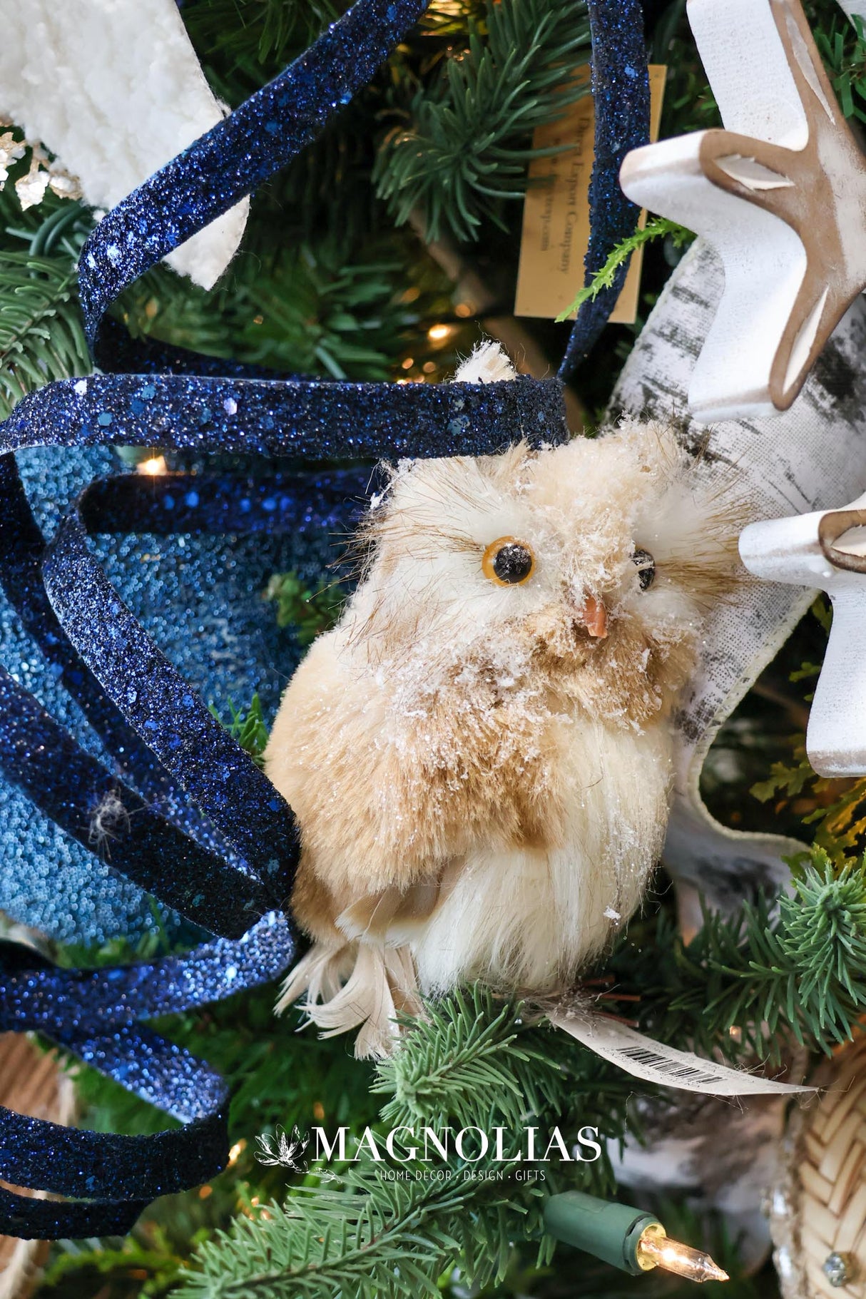 Snow Adorable Iced Owl Set