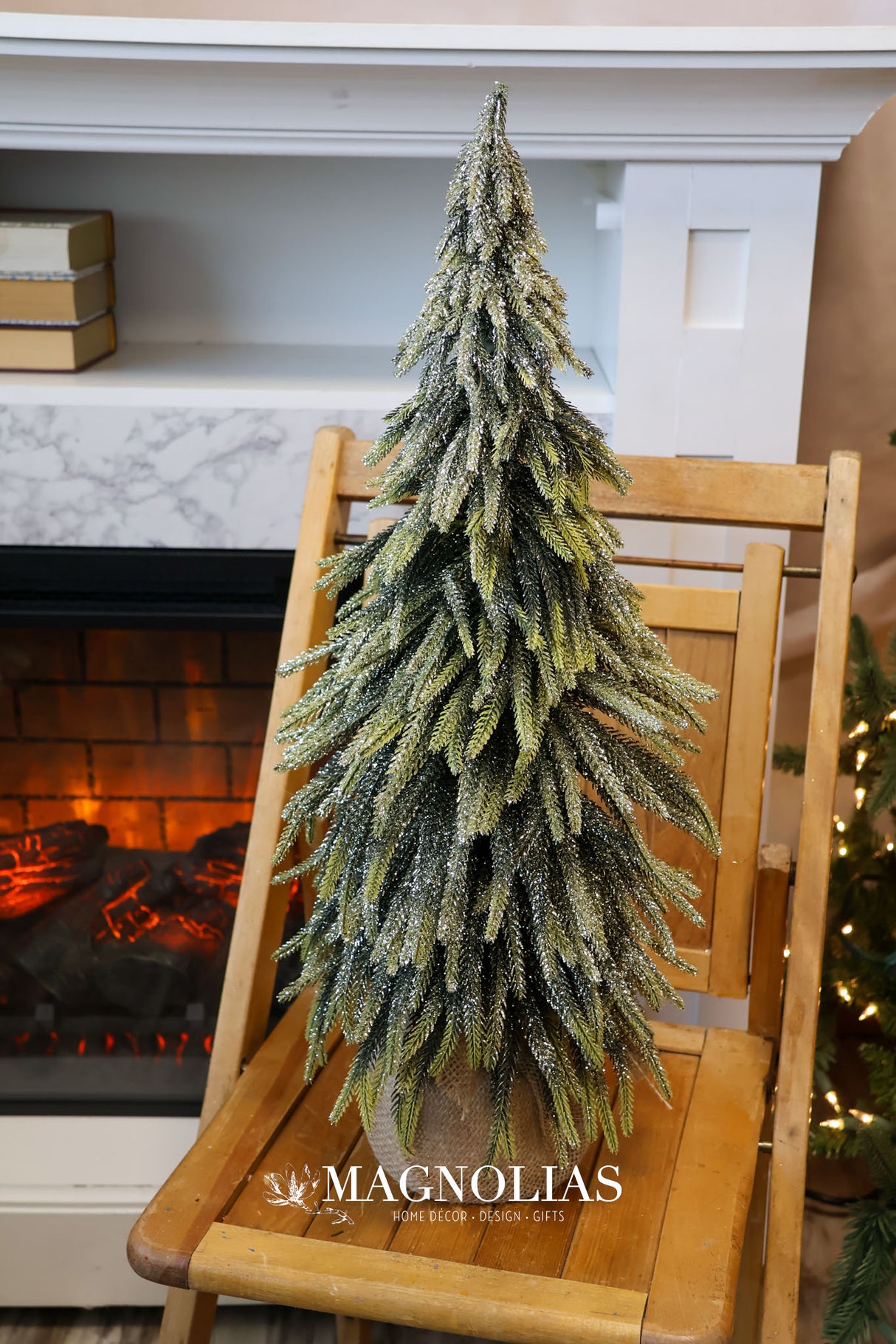 24" Golden Sparkle Spruce Tree