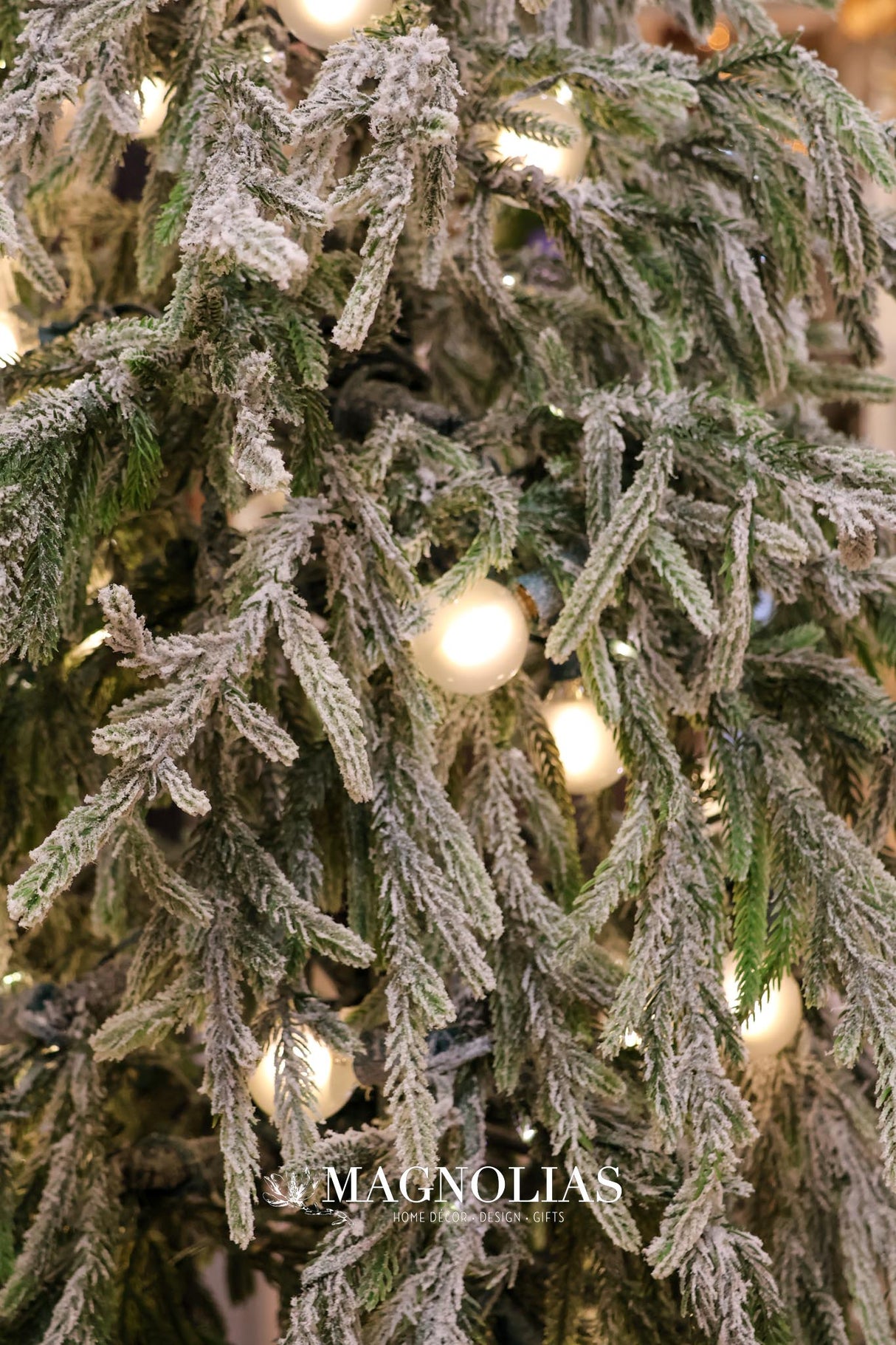 6' Snowy LED Real Touch Norfolk Tree