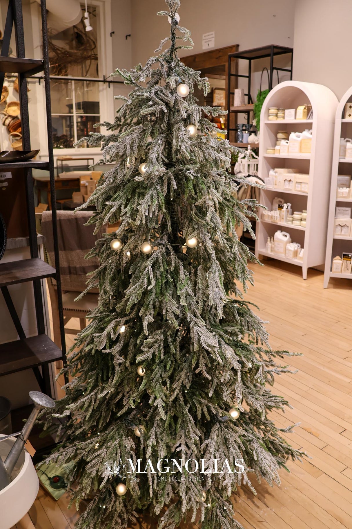 6' Snowy LED Real Touch Norfolk Tree