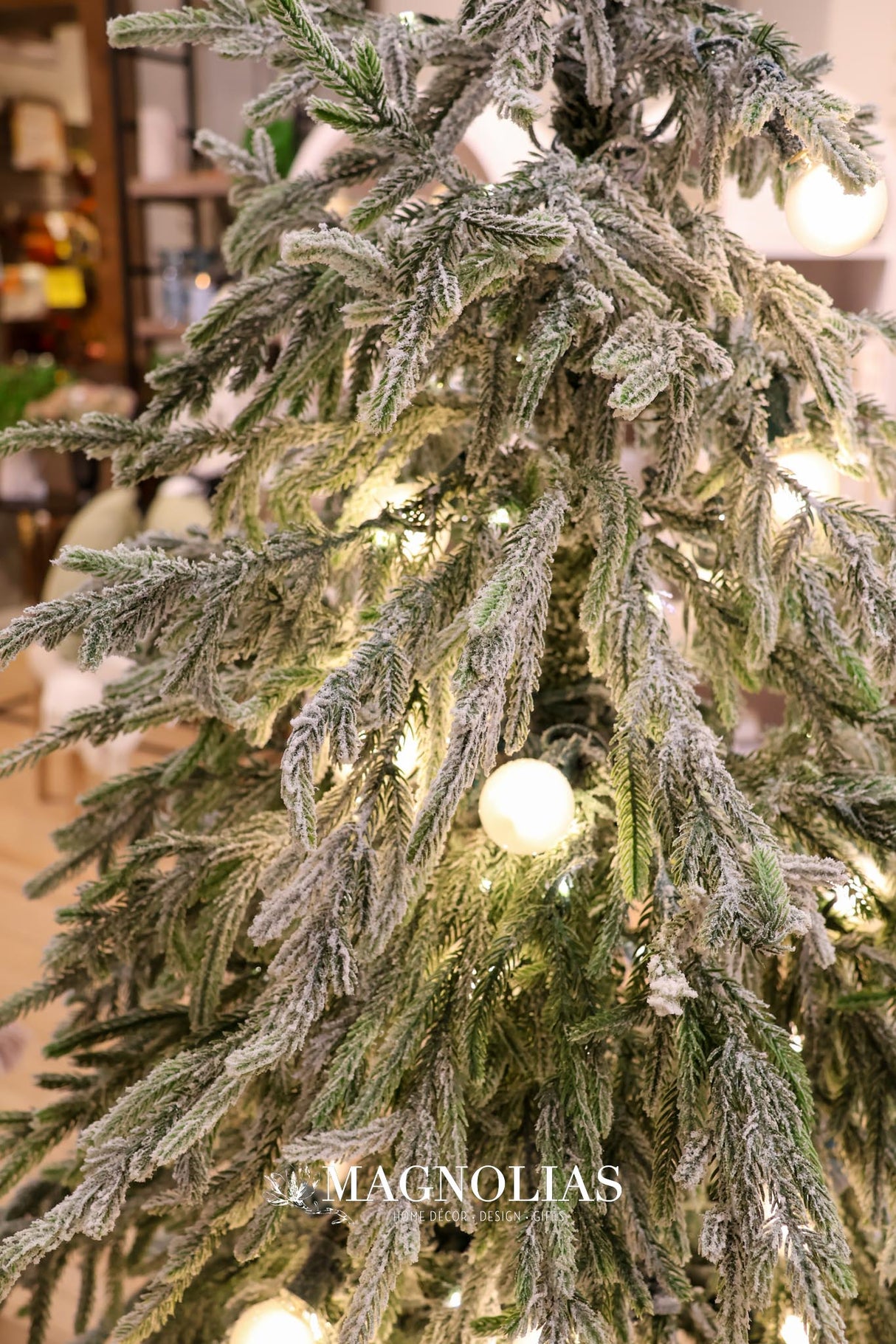 6' Snowy LED Real Touch Norfolk Tree