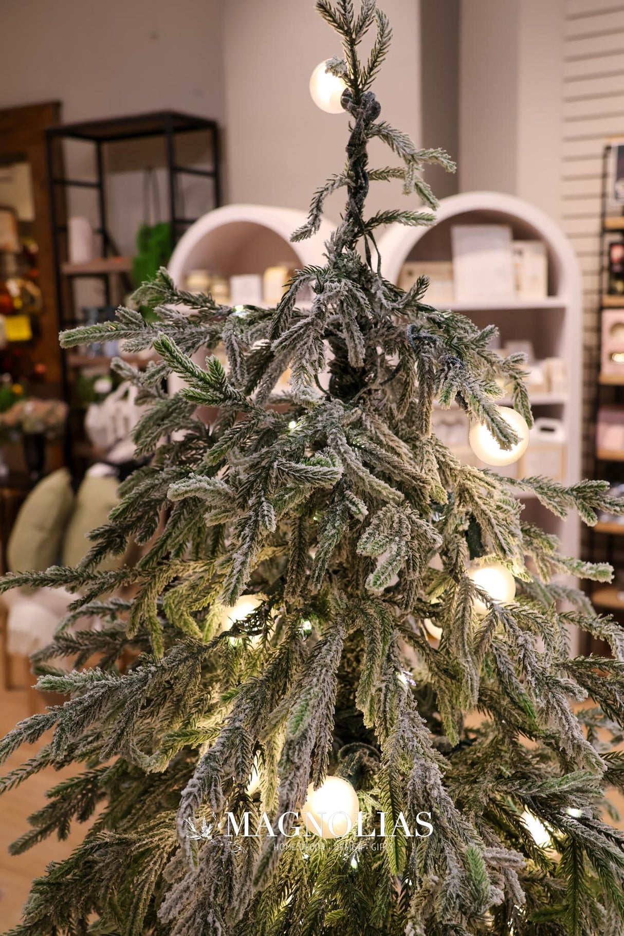 6' Snowy LED Real Touch Norfolk Tree