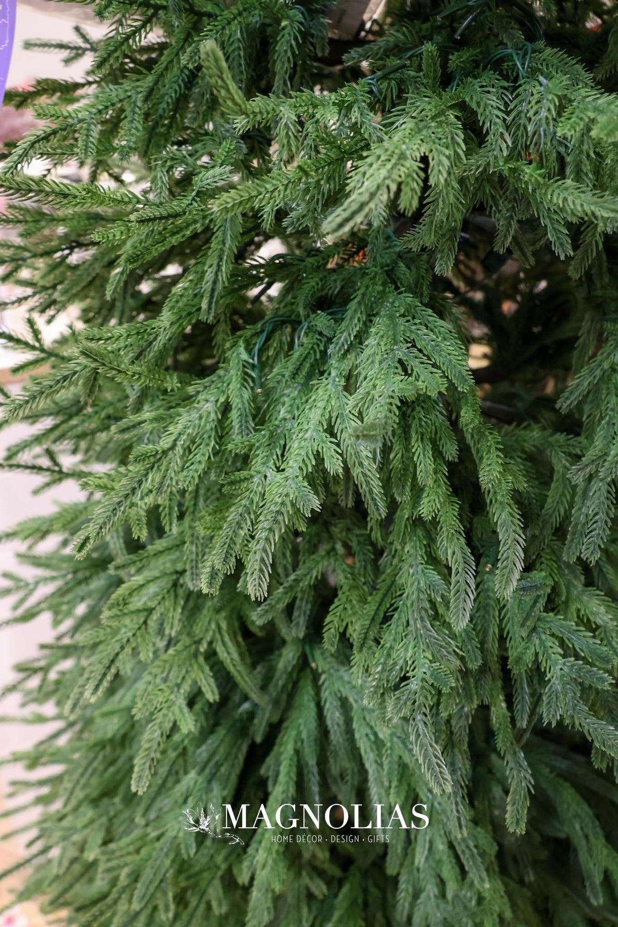 7' Real Touch LED Norfolk Pine Tree