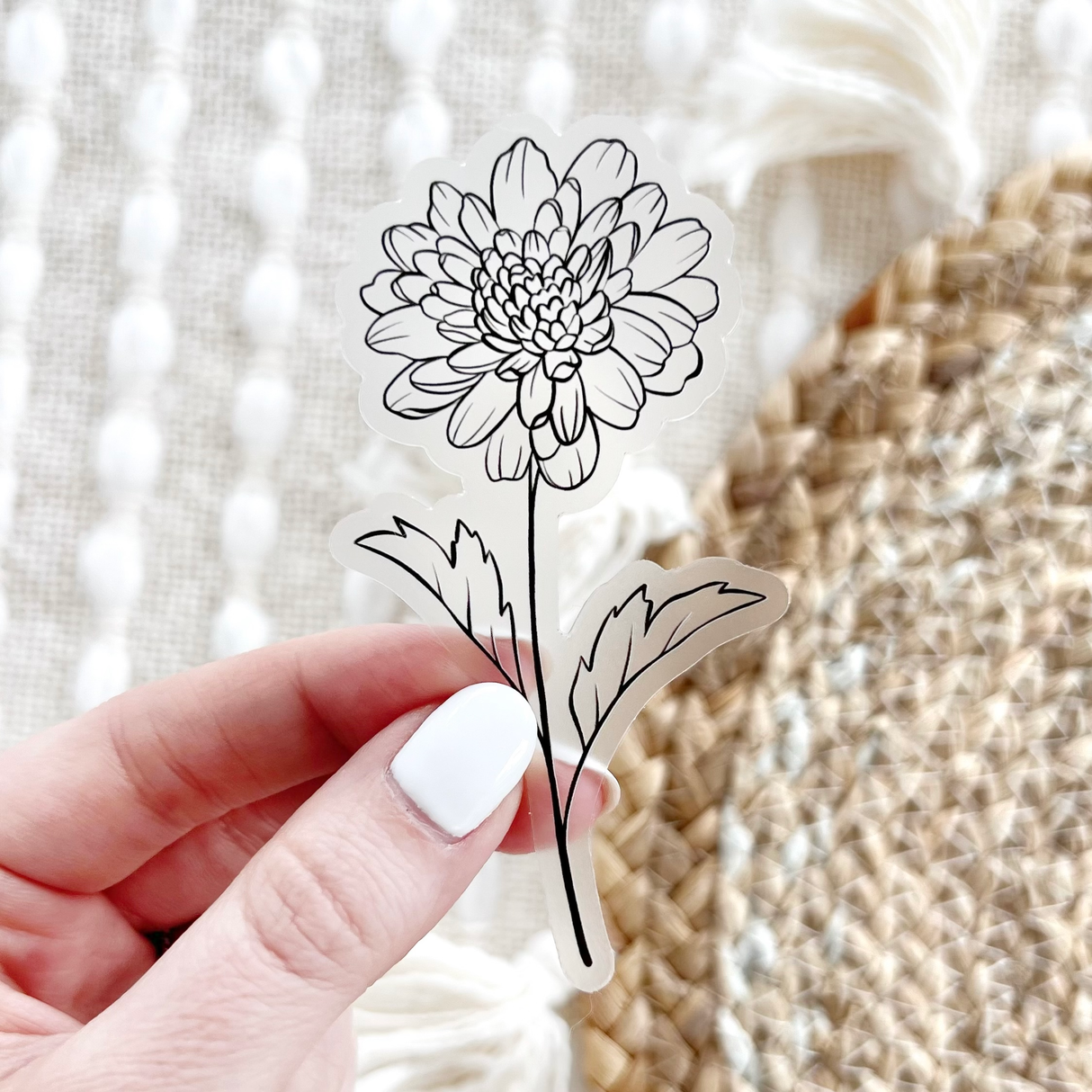 November Birth Month Flower