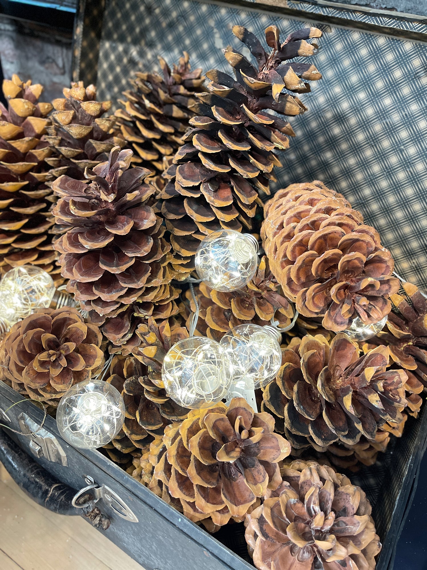 Large Sugar Pinecone