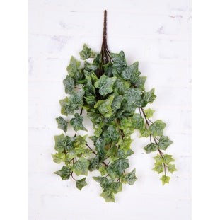 Frosted Garden Ivy Hanging Bush