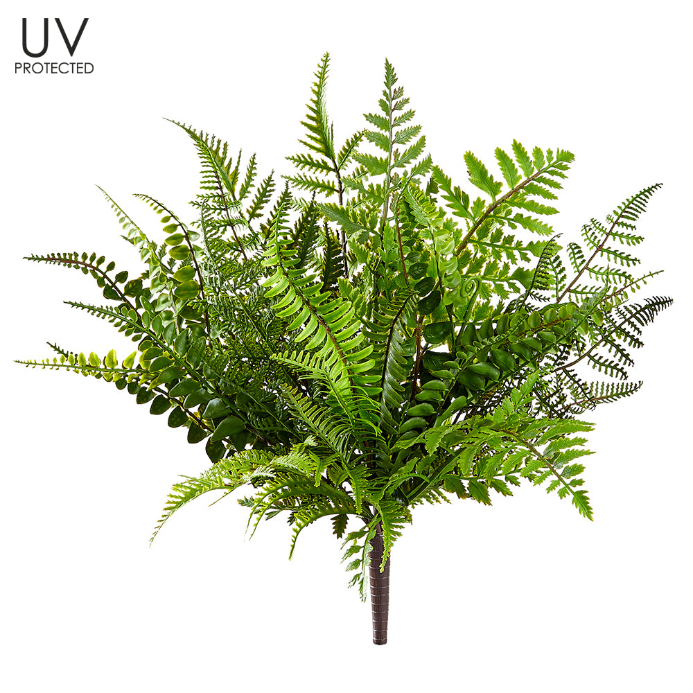 UV Protected Mixed Fern Bush