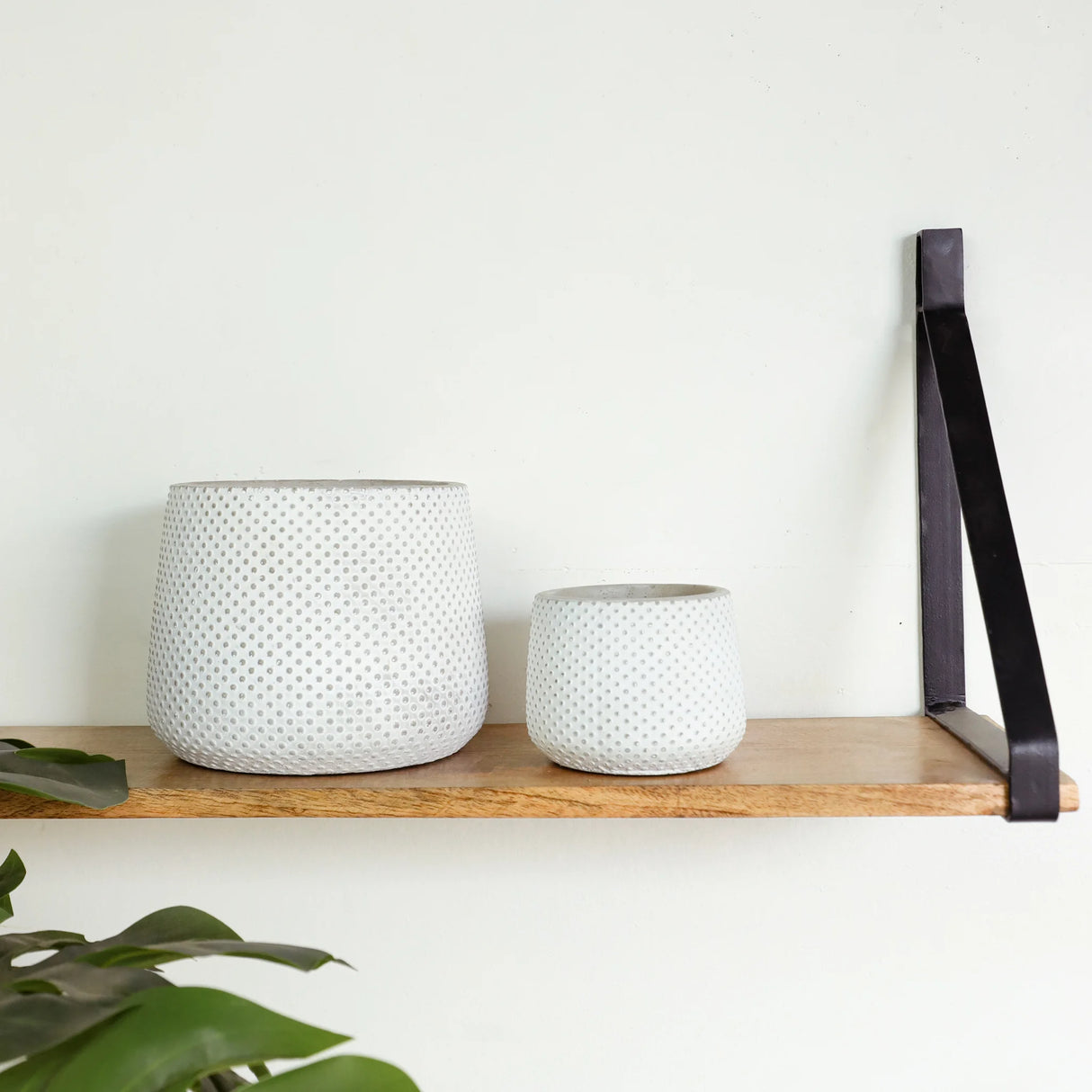 Cold Cast Dot Pot - 2 Sizes