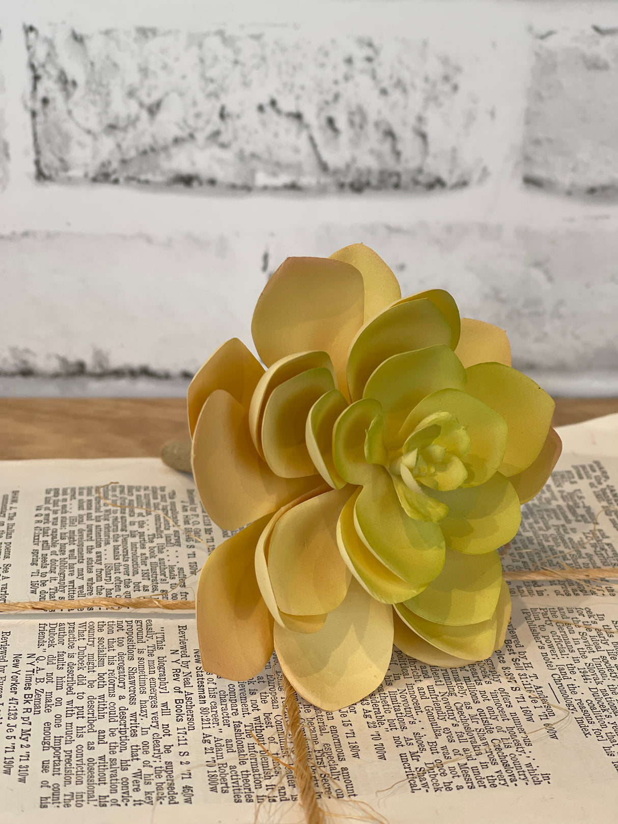 Soft Yellow Echeveria Pick