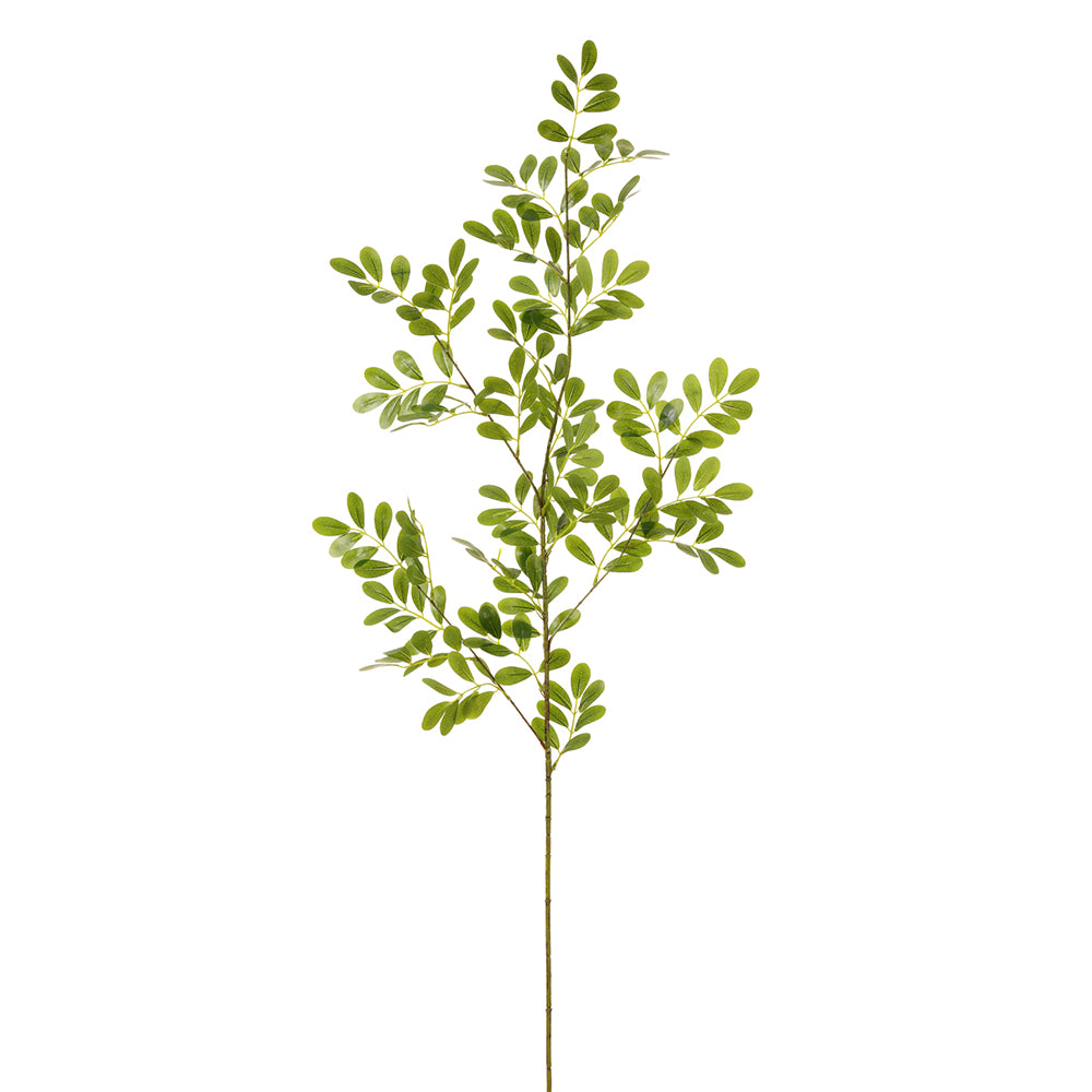 True Indigo Leaf Spray