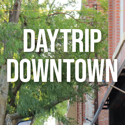 A Day Trip To Downtown Norfolk