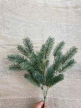 Blue Green Round Tip Pine Bush