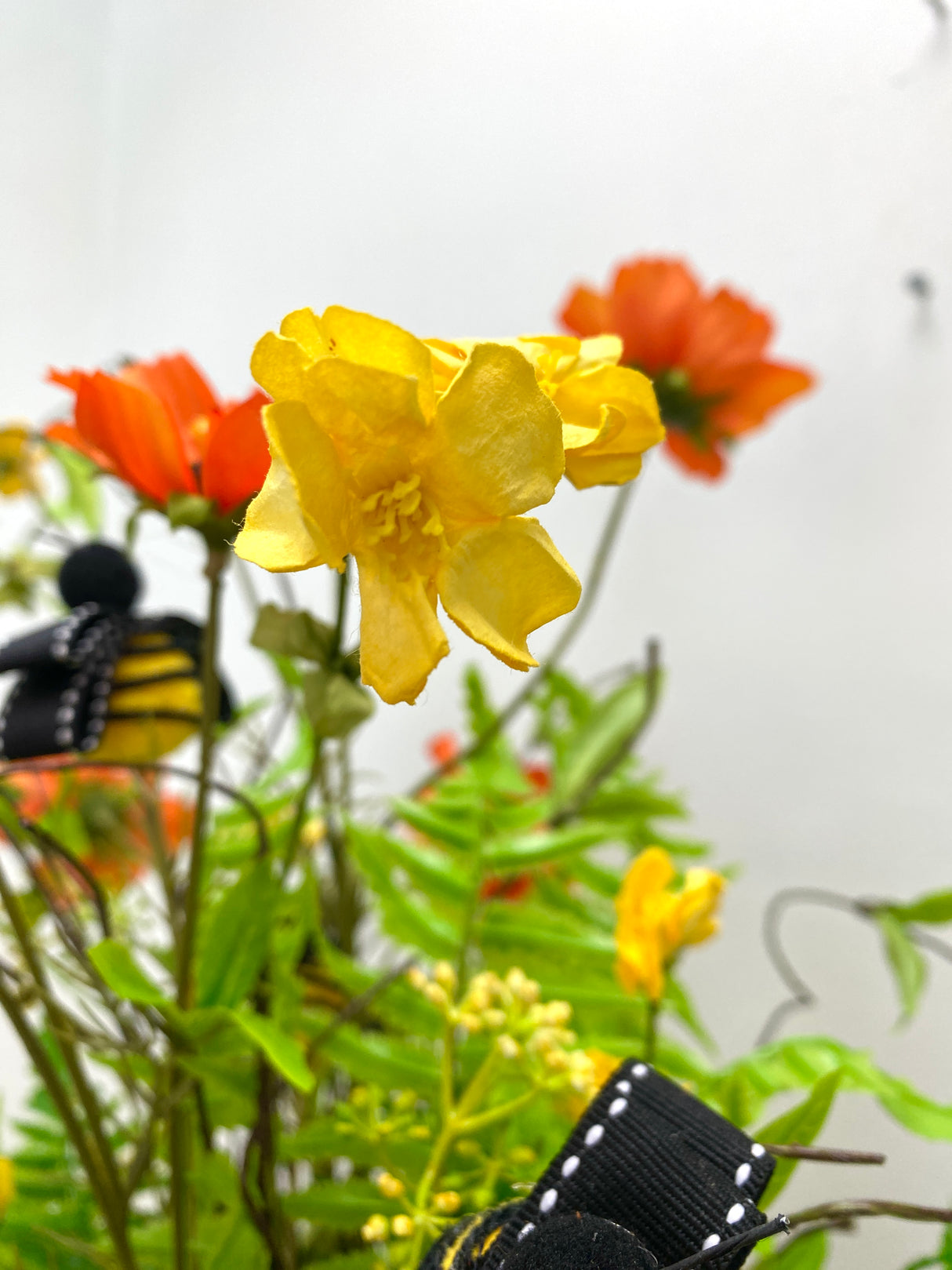 28" Bee-utiful Cosmos Drop-in