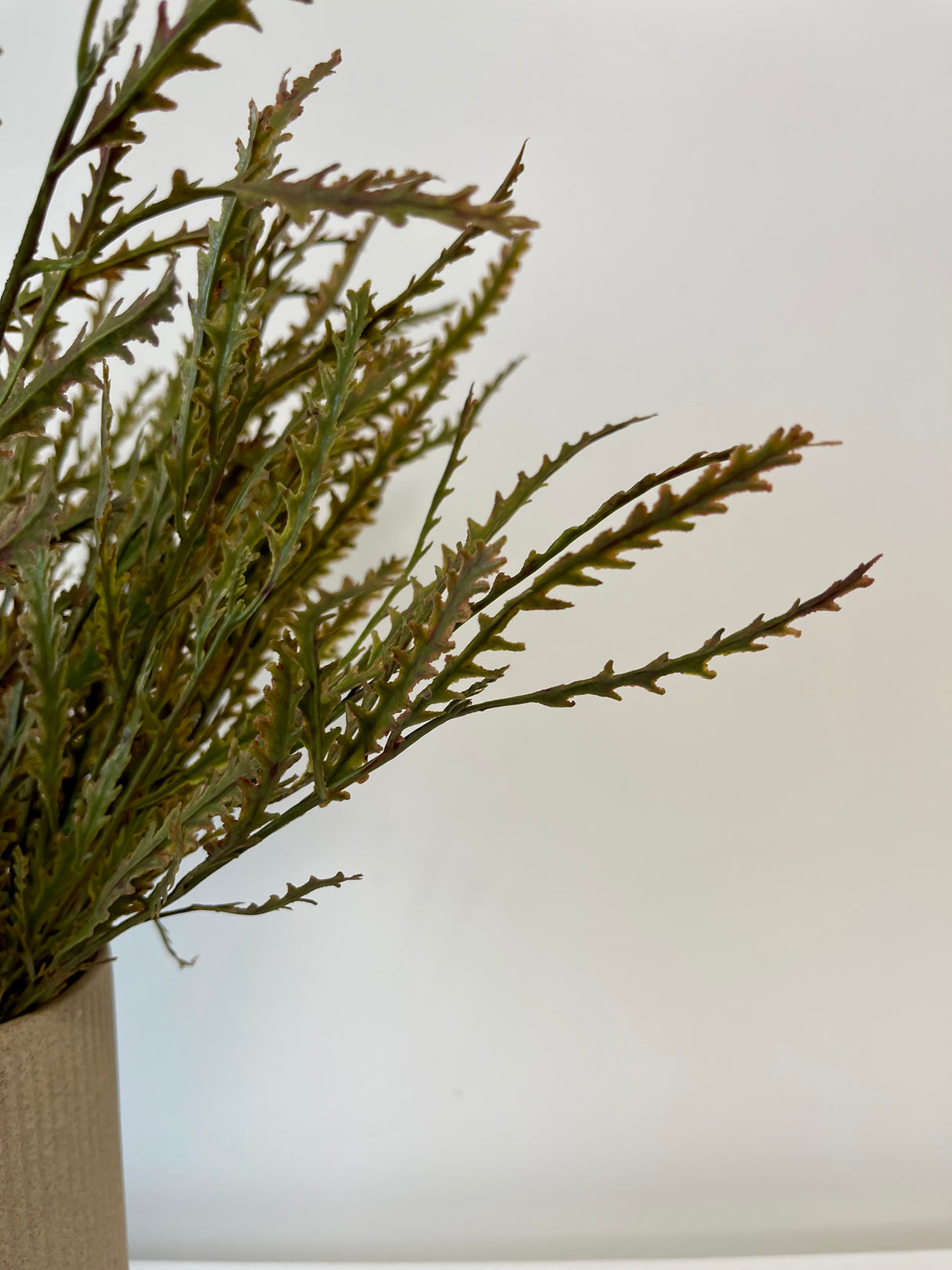 Green/Brown Real Touch Fern Bush