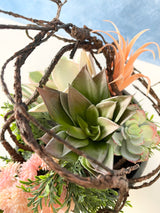 Chloe Succulent Centerpiece Kit