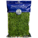 Green Spanish Preserved Moss