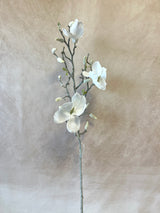 Frosted Magnolia Spray