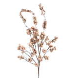 Greige Dew Berry Spray