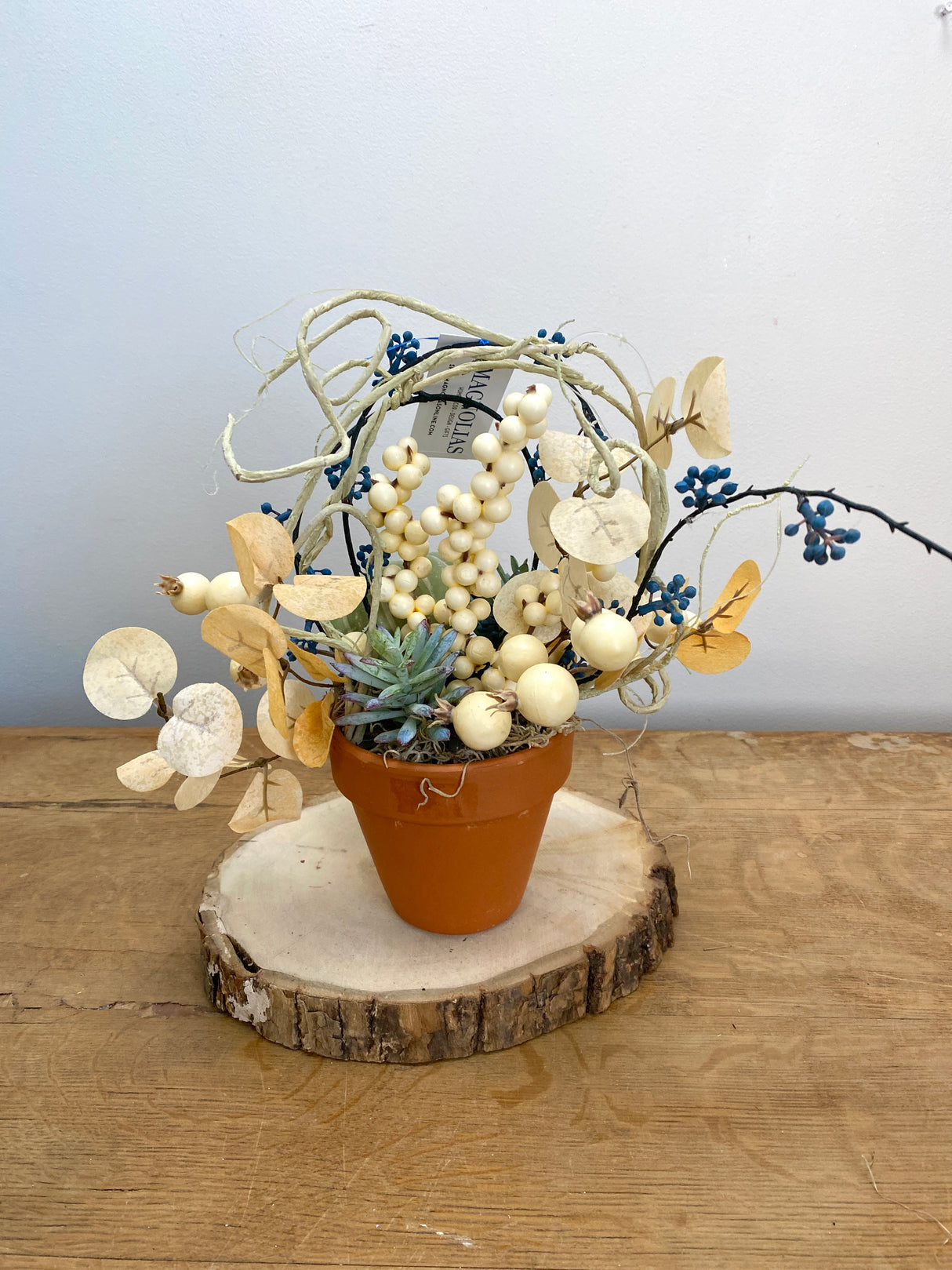12" Lil Pumpkin pot