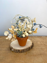12" Lil Pumpkin pot