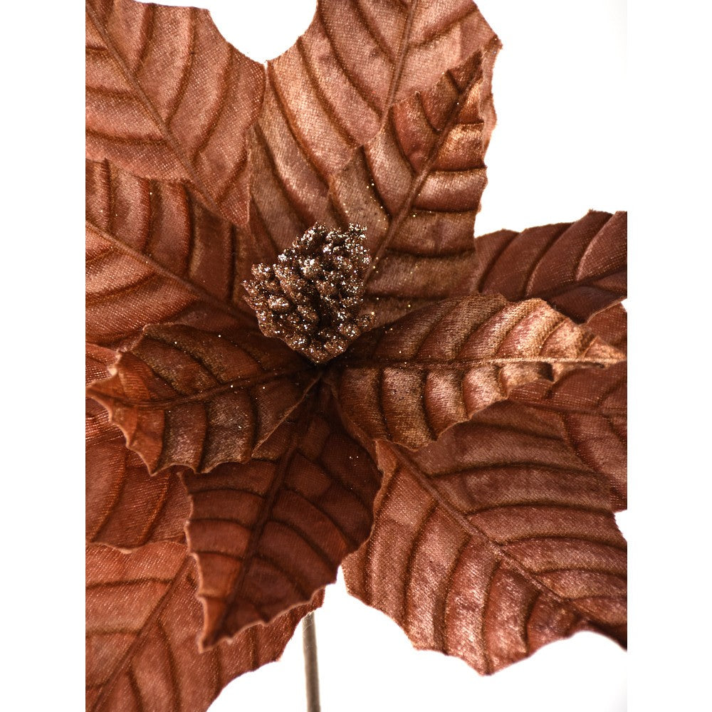 Pressed Rust Poinsettia Stem